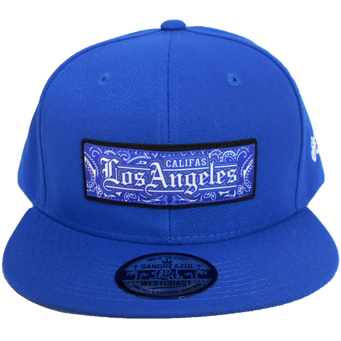BOX LOGO los angeles Paisley west coast chicano gangsta rap hiphop blue